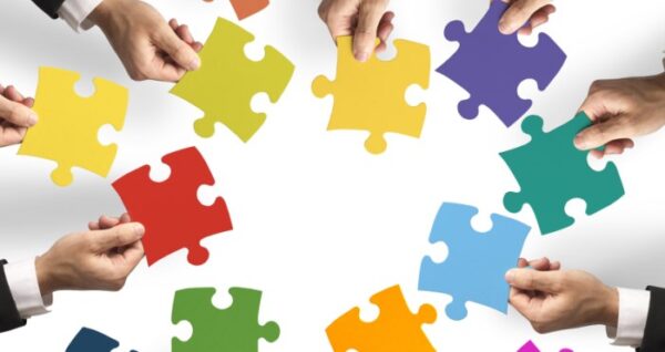 Cultura organizacional