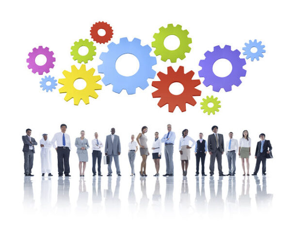 Tipos de organizaciones o empresas