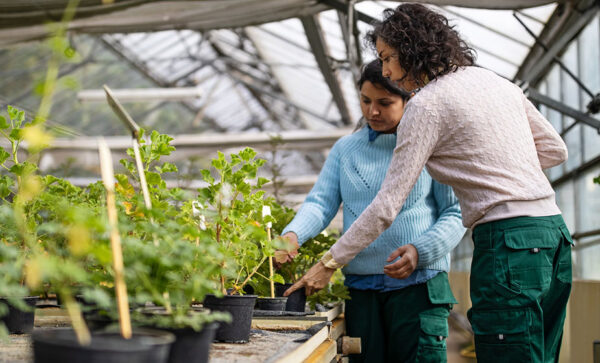 Importancia del emprendimiento