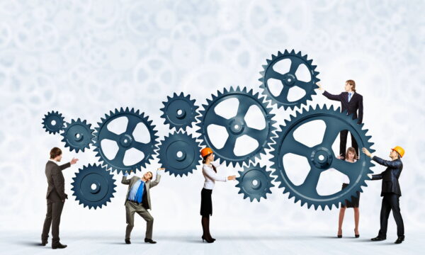 Roles de un grupo de trabajo