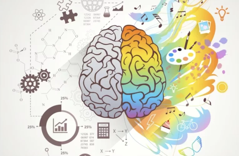 Las dimensiones de la creatividad