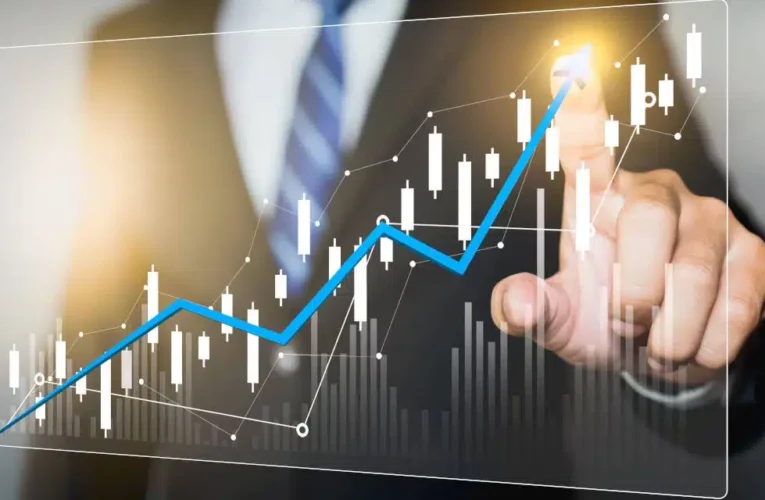 Desempeño organizacional