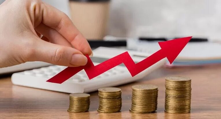 Formas de organización de las entidades económicas lucrativas