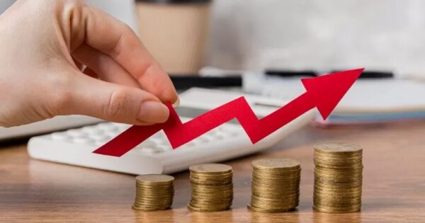 Formas de organización de las entidades económicas lucrativas