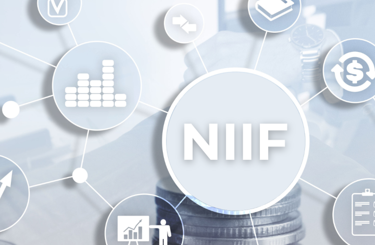 Organismos emisores de las normas de información financiera