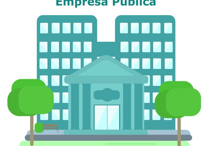 Las normas de información financiera y las empresas públicas