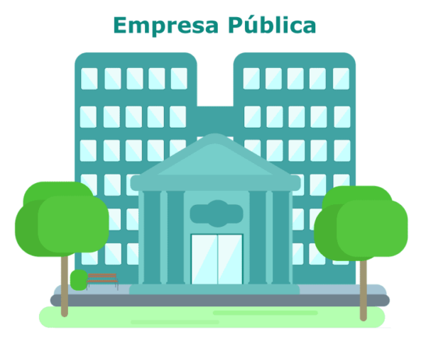 Las normas de información financiera y las empresas públicas