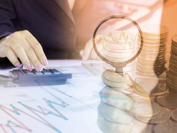 Normas de información financiera y los organismos reguladores del mercado de valores