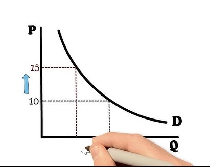 Tipologías más estudiadas sobre la función elasticidad y su importancia en el análisis económico