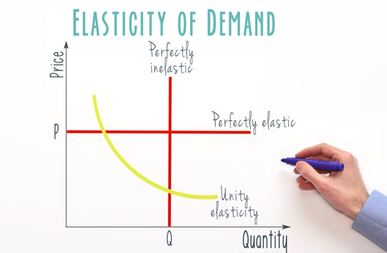 La elasticidad en la función de la demanda