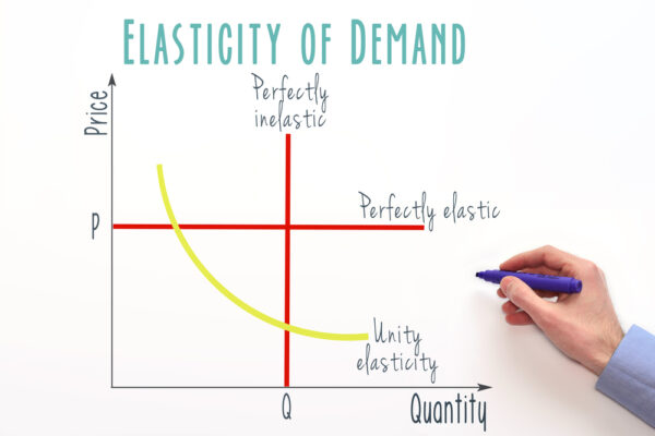La elasticidad en la función de la demanda