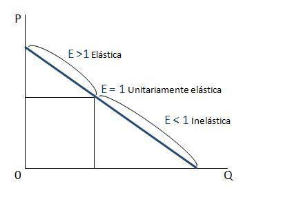 Tipologías más estudiadas sobre la función elasticidad